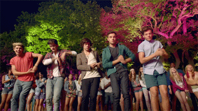one direction ideal girl quiz one direction ideal girl quiz